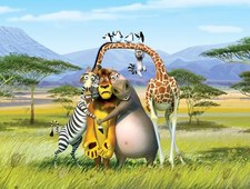 Madagaskar 2