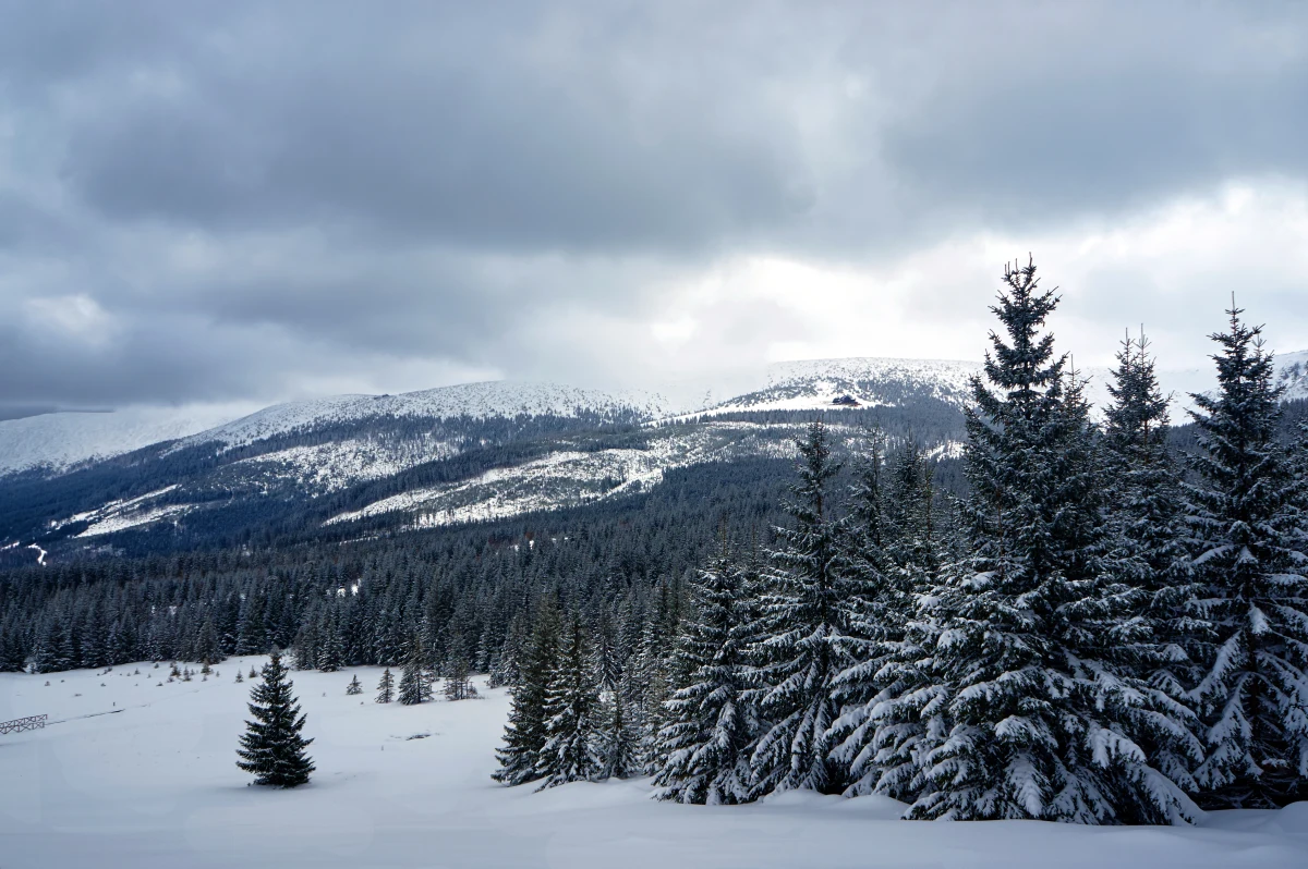 "Karkonosze jako góry są niedoceniane, bo wydaje się, że są niższe, więc bezpieczniejsze. A one są górami, gdzie potrafią zalegać cztery-, pięcio-, dziesięciometrowe pokrywy śnieżne na szczytach, gdzie są bardzo gęste mgły. Ludzie w tych mgłach i w tych zaspach śnieżnych potrafią się gubić. To jest w Karkonoszach najbardziej przewrotne, że przez to, iż sprawiają wrażenie bezpiecznych, usypia to czujność ludzi i później dzieją się tam różnego rodzaju dramaty" - mówi Sławomir Gortych - autor cyklu powieści kryminalnych "Karkonoska seria kryminalna".