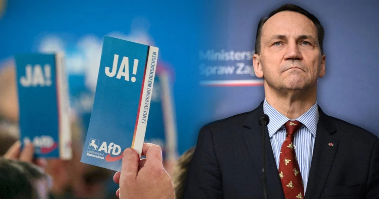 Minister Radosław Sikorski zwrócił uwagę na AfD. Przestrzegł PiS i Konfederację