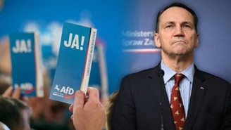 Radosław Sikorski uderza w PiS i Konfederację. Wskazał na Niemcy i AfD