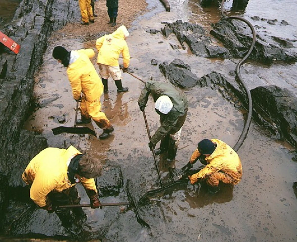 Władze Rosji ogłosiły na szczeblu federalnym stan wyjątkowy. Powodem jest wyciek mazutu - wyjątkowo szkodliwego oleju opałowego - do którego doszło po katastrofie dwóch tankowców, przewożących ładunek w Cieśninie Kerczeńskiej. Mówi się już o katastrofie ekologicznej.