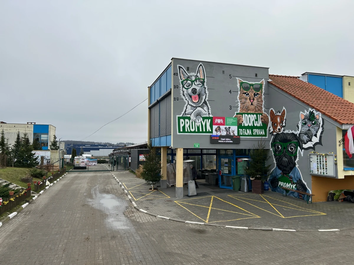 Palety wypełnione karmą i legowiskami od RMF FM i naszych słuchaczy dotarły do kolejnego schroniska. Pół tony darów dojechało do "Promyka" w Gdańsku. W sumie tej zimy do schronisk w całej Polsce dostarczymy trzy tonu karmy i kilkaset legowisk dla psów i kotów.