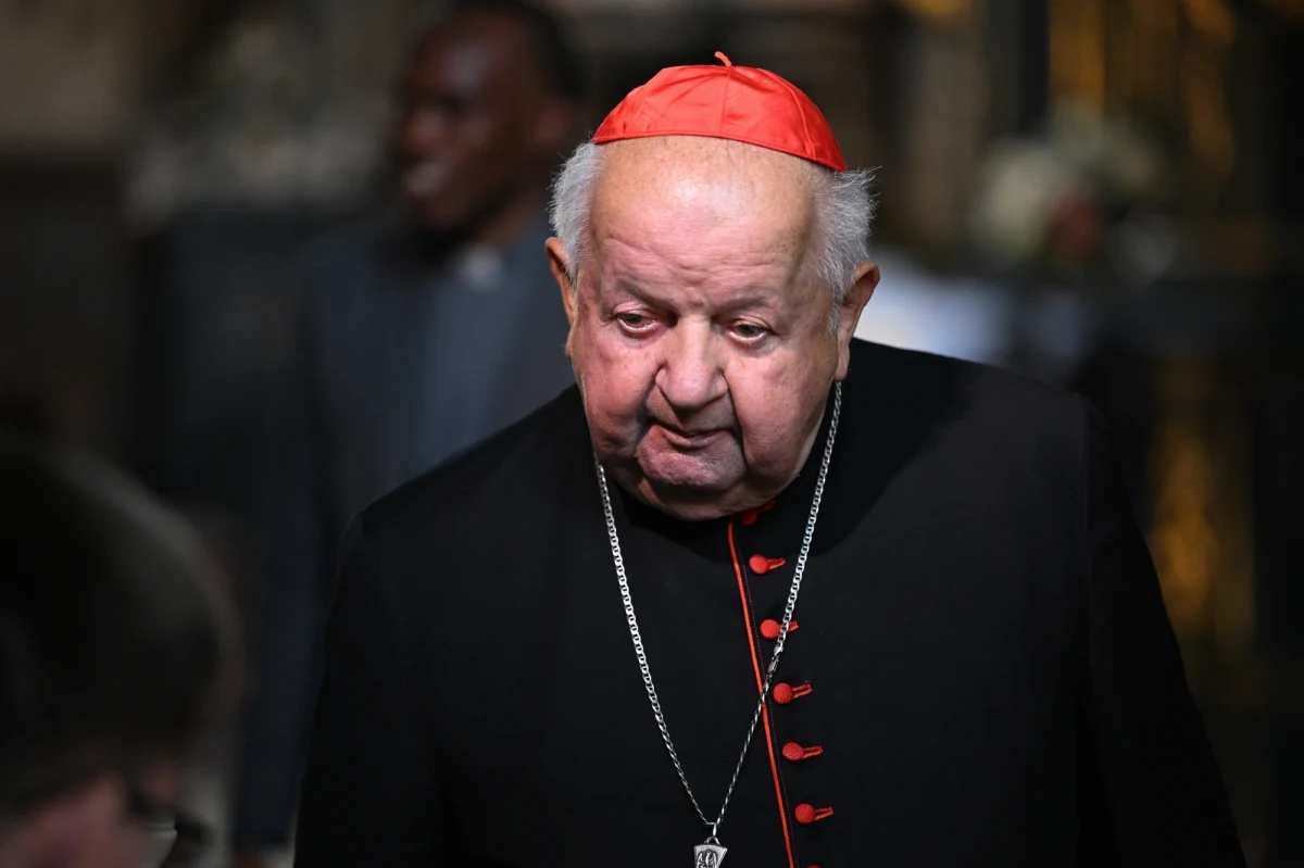 Komisja zajmuje się wszystkimi sprawami, które toczyły się w prokuraturze i uległy przedawnieniu - powiedziała przewodnicząca Państwowej Komisji ds. przeciwdziałania wykorzystywaniu seksualnemu małoletnich poniżej lat 15 Karolina Bućko. W ten sposób odniosła się do doniesień, że komisja wezwała kard. Stanisława Dziwisza.