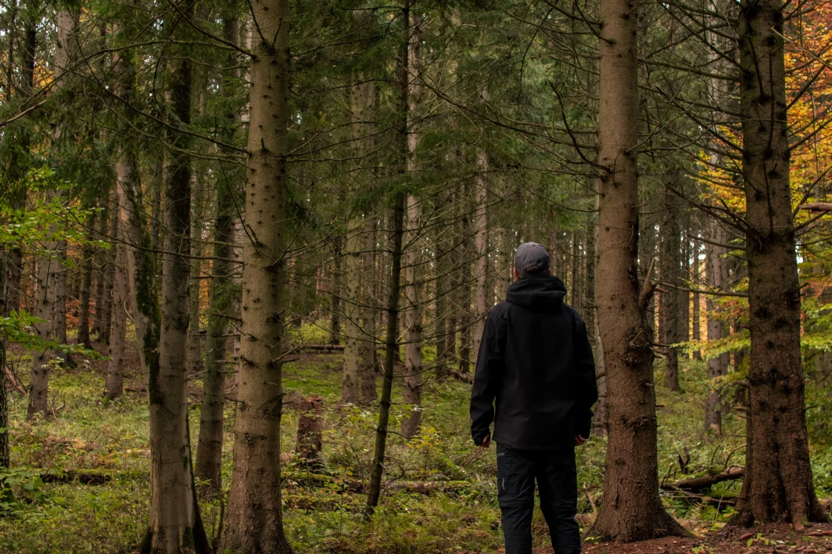56-latek z Bielska-Białej podczas górskiej wycieczki zboczył ze szlaku i stracił orientację w terenie. Po ponad dwóch godzinach poszukiwań policjanci z Gilowic znaleźli mężczyznę głęboko w lesie, był wychłodzony i miał kłopoty z poruszaniem się.     
