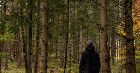 56-latek z Bielska-Białej podczas górskiej wycieczki zboczył ze szlaku i stracił orientację w terenie. Po ponad dwóch godzinach poszukiwań policjanci z Gilowic znaleźli mężczyznę głęboko w lesie, był wychłodzony i miał kłopoty z poruszaniem się.     