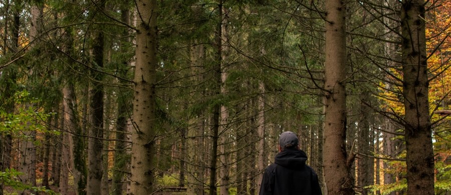 56-latek z Bielska-Białej podczas górskiej wycieczki zboczył ze szlaku i stracił orientację w terenie. Po ponad dwóch godzinach poszukiwań policjanci z Gilowic znaleźli mężczyznę głęboko w lesie, był wychłodzony i miał kłopoty z poruszaniem się.     