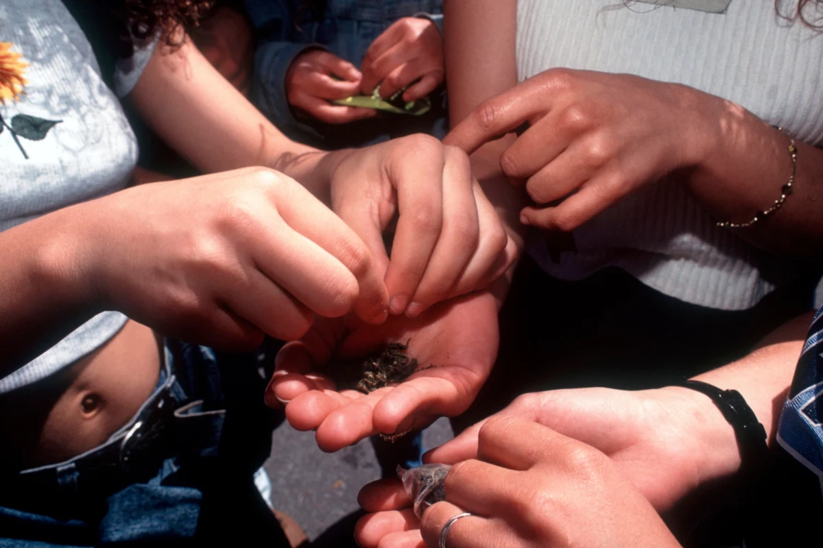 Różnice w budowie mózgu u nastolatków mogą sygnalizować wczesne ryzyko uzależnień - piszą ma łamach "JAMA Network Open" naukowcy m.in. Indiana University School of Medicine, Washington University w St Louis i National Institute on Drug Abuse. Badania przeprowadzone wśród blisko 10 000 nastolatków wskazały na wyraźne różnice struktury mózgu u osób, które przed 15. rokiem życia miały kontakt ze środkami uzależniającymi, w porównaniu do tych, które go nie miały. Autorzy pracy zwracają przy tym uwagę, że wiele z tych różnic wydaje się istnieć już w dzieciństwie, zanim doszło do jakiegokolwiek użycia szkodliwych substancji. To sugeruje, że mogą one mieć znaczenie dla ryzyka sięgnięcia po te środki w późniejszym życiu, w połączeniu z innymi czynnikami neurologicznymi, a także uwarunkowaniami o charakterze genetycznym i środowiskowym.