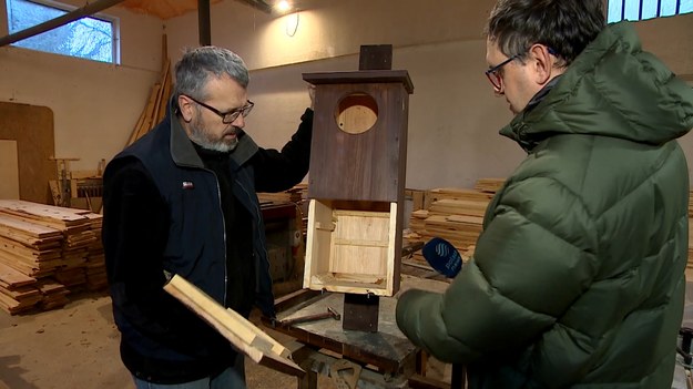 Grudzień to miesiąc kiedy warto pomyśleć o... sowach, a konkretnie o puszczykach. Tam gdzie występują, można powiesić budkę lęgową. Marcin Szumowski.