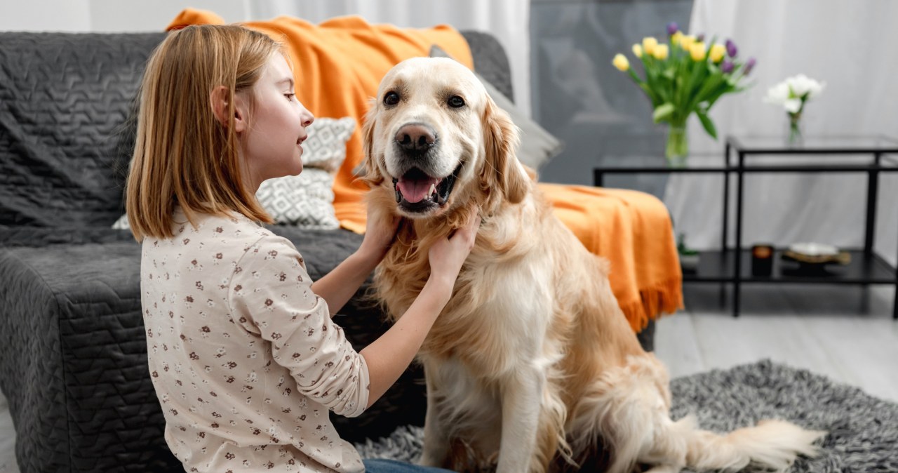 Psy są z nami od 16 tysięcy lat. Przełomowe odkrycie naukowców