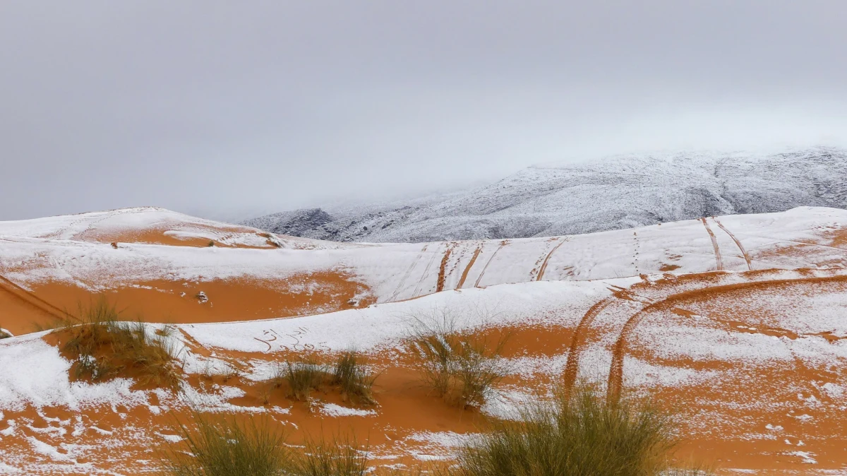 W położonej w Algierii miejscowości Ain Sefra - znanej również jako "brama do pustyni" - spadł śnieg. Na zdjęciach udostępnionych z tego miejsca 1 stycznia widać wzory, jakie biały puch pozostawił po sobie na wydmach Sahary. 