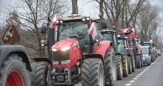 Rolniczy protest w Warszawie ma być dziś "ozdobą" oficjalnej inauguracji polskiej prezydencji w Radzie Unii Europejskiej. Przedstawiciele pięciu organizacji zrzeszających rolników zapowiedzieli przemarsz ulicami Warszawy. 