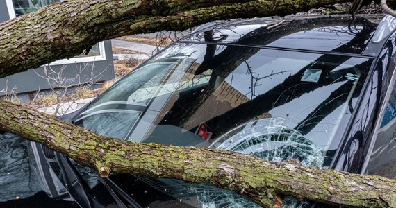 Przez szalejącą wichurę w Koszalinie (woj. zachodniopomorskie) na maskę jadącego samochodu spadło drzewo, chwilę później na uszkodzony pojazd najechał kolejny. W wyniku wypadku została ranna kobieta, która siedziała za kierownicą. 