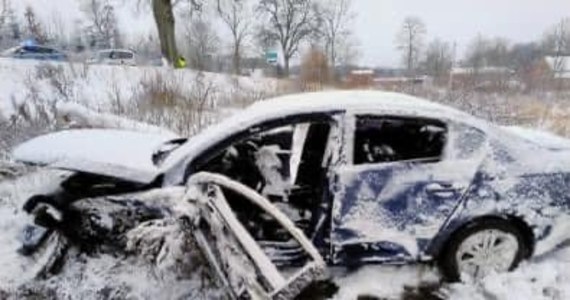 Do tragicznego wypadku doszło w niedzielny poranek w Roszczycach w województwie pomorskim. Prowadzony przez pijanego 21-latka Volkswagen Passat wypadł z drogi i uderzył w drzewo. 17-letnia pasażerka zginęła na miejscu.