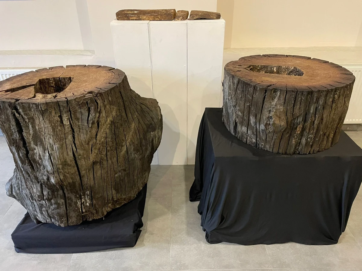 Czujność pracownika tartaku i starania Bractwa Bartnego z podlaskiego Augustowa sprawiły, że do tamtejszego Muzeum Kultury Bartniczej trafiła prawdopodobnie najstarsza barć na świecie. Została ona znaleziona w pobliżu Leżajska w woj. podkarpackim i pochodzi sprzed ponad 14 wieków.