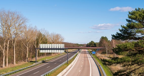 Około 7 kilometrów ma korek na granicy polsko-niemieckiej w Świecku (woj. lubuskie). Utrudnienia są również na innych przejściach granicznych, a ich powodem są wzmożone kontrole.