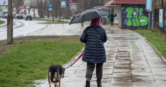 Co czeka nas w najbliższych dniach w pogodzie? Pierwsza połowa tygodnia będzie pochmurna, ale dość ciepła – na termometrach zobaczymy nawet 12 stopni. Trzeba się przygotować na deszcz i deszcz ze śniegiem. Od piątku do Polski napłynie chłodniejsze i bardziej wilgotne powietrze.