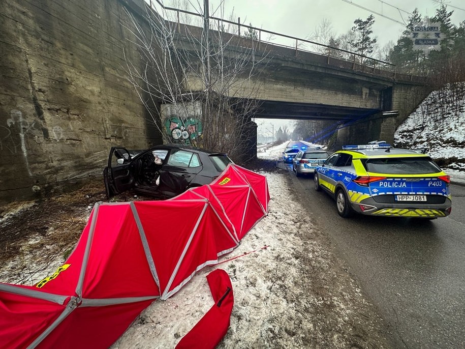 /Śląska policja /Policja