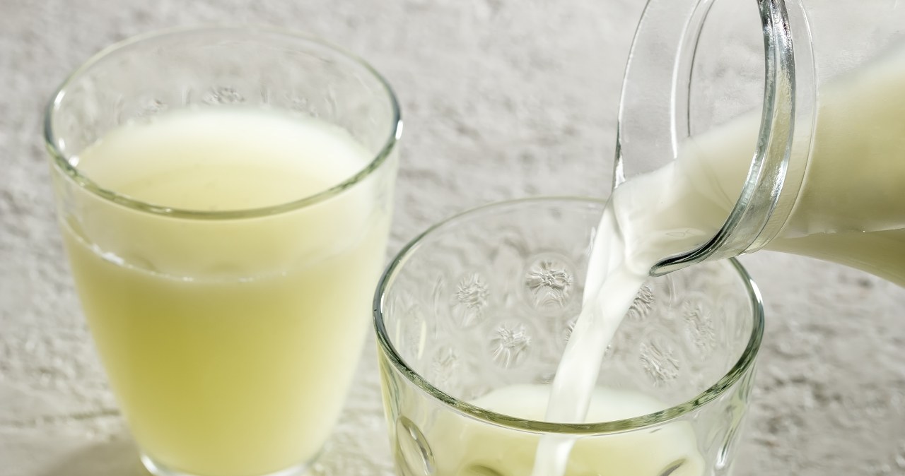 Naturalny probiotyk z kuchni. Balsam dla jelit, wsparcie dla odporności