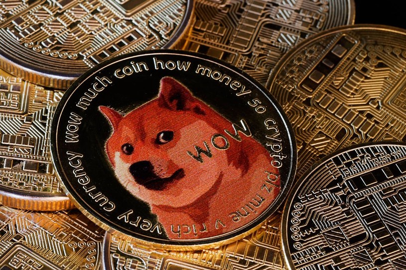 Dogecoin - najważniejsze informacje