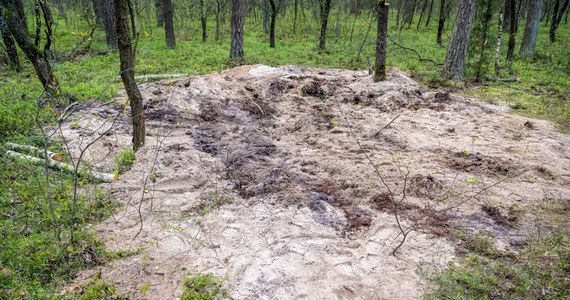 Jest opinia biegłych botaników w sprawie szczątków rakiety znalezionych w lesie koło Bydgoszczy. Jak dowiedział się reporter RMF FM, ekspertyza trafiła właśnie do prokuratora, który zapoznaje się z ustaleniami ekspertów.