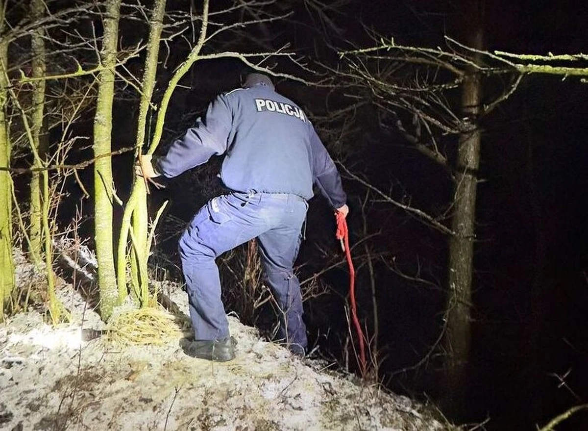Tragedią mógł skończyć się kilkunastominutowy spacer, na który wybrał się 20-latek ze swoim psem. Tylko czworonóg wrócił do domu, co zaniepokoiło rodzinę. Młody mężczyzna spadł z urwiska w miejscowości Rejowiec Fabryczny w powiecie chełmskim w Lubelskiem. Został odnaleziony przemoczony, poturbowany i skrajnie wychłodzony.