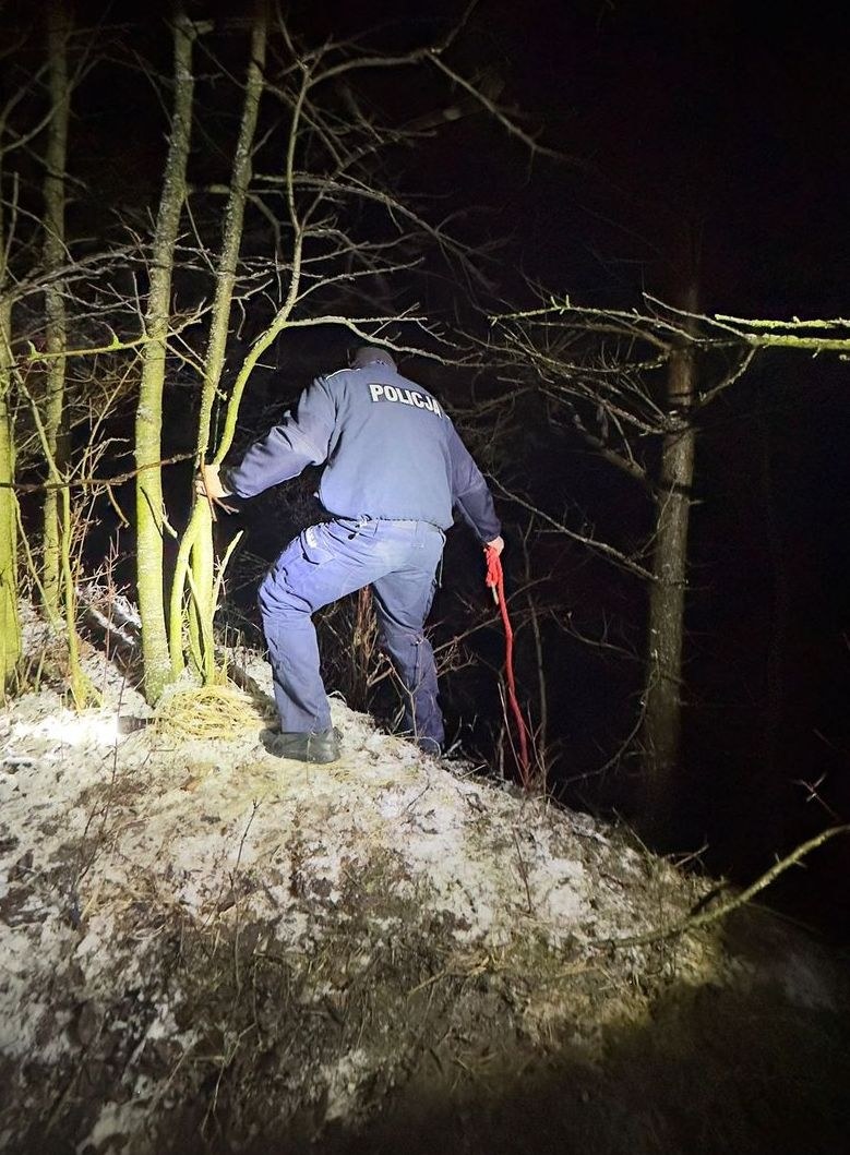 /Policja Chełm /Policja