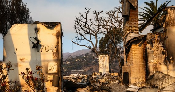 Od wtorku Los Angeles zmaga się z niszczycielskimi pożarami, w wyniku których zginęło już co najmniej 11 osób. Ewakuowało się ponad 180 tys. ludzi, a ogień strawił tysiące budynków. Jedną z osób, które ucierpiały w wyniku żywiołu, jest Anita Stelmasiuk - Polka mieszkająca od wielu lat w Los Angeles. Rozmawiał z nią dziennikarz RMF FM Mateusz Opyrchał. 