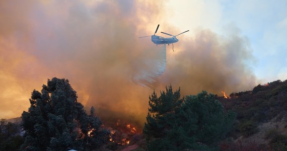 Pożary w Los Angeles prowadzą do tragicznych skutków - 16 ofiar, zniszczonych 12 tys. budynków [Źródło: RMF24]