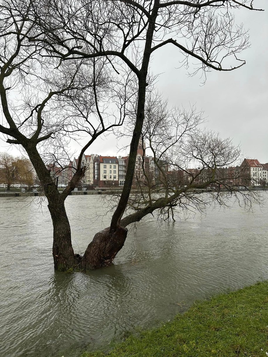 /Urząd Miasta Elbląg /Materiały prasowe