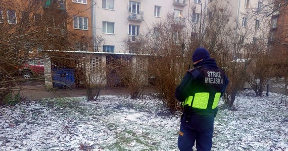 Zaskakujące odkrycie mieszkańca warszawskiej Pragi. Nieopodal ronda Wiatraczna znalazł porzuconą na trawniku głowę i skórę dzika.