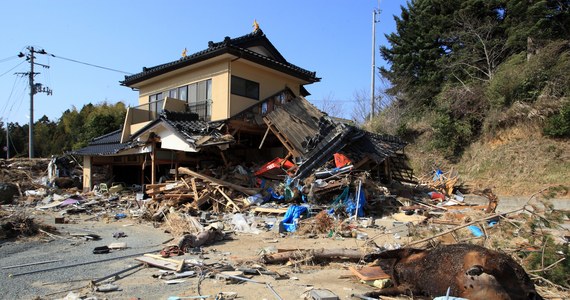 Trzęsienie ziemi o magnitudzie 6,9 wystąpiło w Japonii. Wstrząsy nawiedziły prefekturę Miyazaki na południowym zachodzie kraju. Japońska agencja meteorologiczna (JMA) wydała ostrzeżenie przed tsunami.