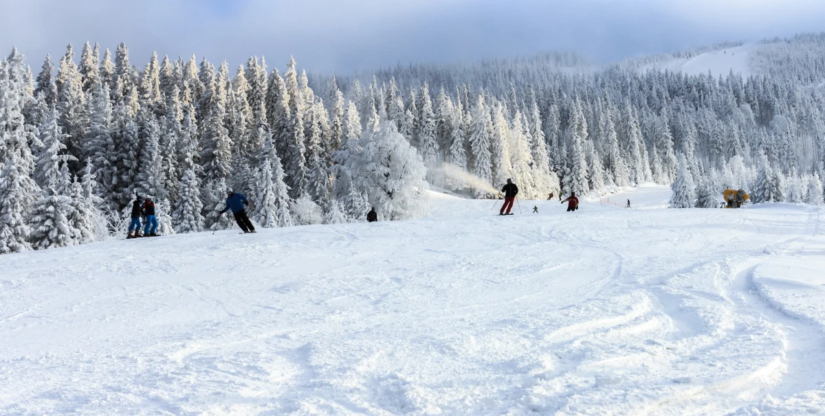 Akcja ratunkowa na stoku w Szczyrku w woj. śląskim. Około 70-letni narciarz stracił przytomność. Na pomoc rzuciło się najpierw dwoje przypadkowych świadków. Potem dojechali goprowcy, załoga karetki pogotowia i śmigłowca Lotniczego Pogotowia Ratunkowego oraz policjanci. U mężczyzny po kilkudziesięciu minutach udało się przywrócić funkcje życiowe. Śmigłowcem został przetransportowany do szpitala.
