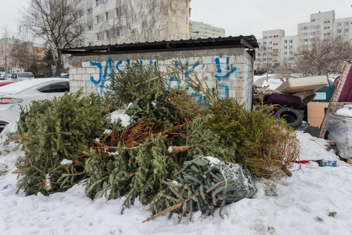 33-letnia pijana kobieta wraz z 8-letnią córką chciała przenocować w wiacie śmietnikowej na jednym z krakowskich osiedli - poinformowała policja we wtorek. Kobieta została zatrzymana, miała prawie dwa promile alkoholu w organizmie. Usłyszała zarzut narażenia córki na niebezpieczeństwo utraty życia lub zdrowia. Grozi jej do pięciu lat więzienia. Dziewczynka trafiła pod opiekę rodziny.