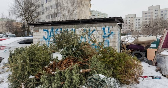 33-letnia pijana kobieta wraz z 8-letnią córką chciała przenocować w wiacie śmietnikowej na jednym z krakowskich osiedli - poinformowała policja we wtorek. Kobieta została zatrzymana, miała prawie dwa promile alkoholu w organizmie. Usłyszała zarzut narażenia córki na niebezpieczeństwo utraty życia lub zdrowia. Grozi jej do pięciu lat więzienia. Dziewczynka trafiła pod opiekę rodziny.