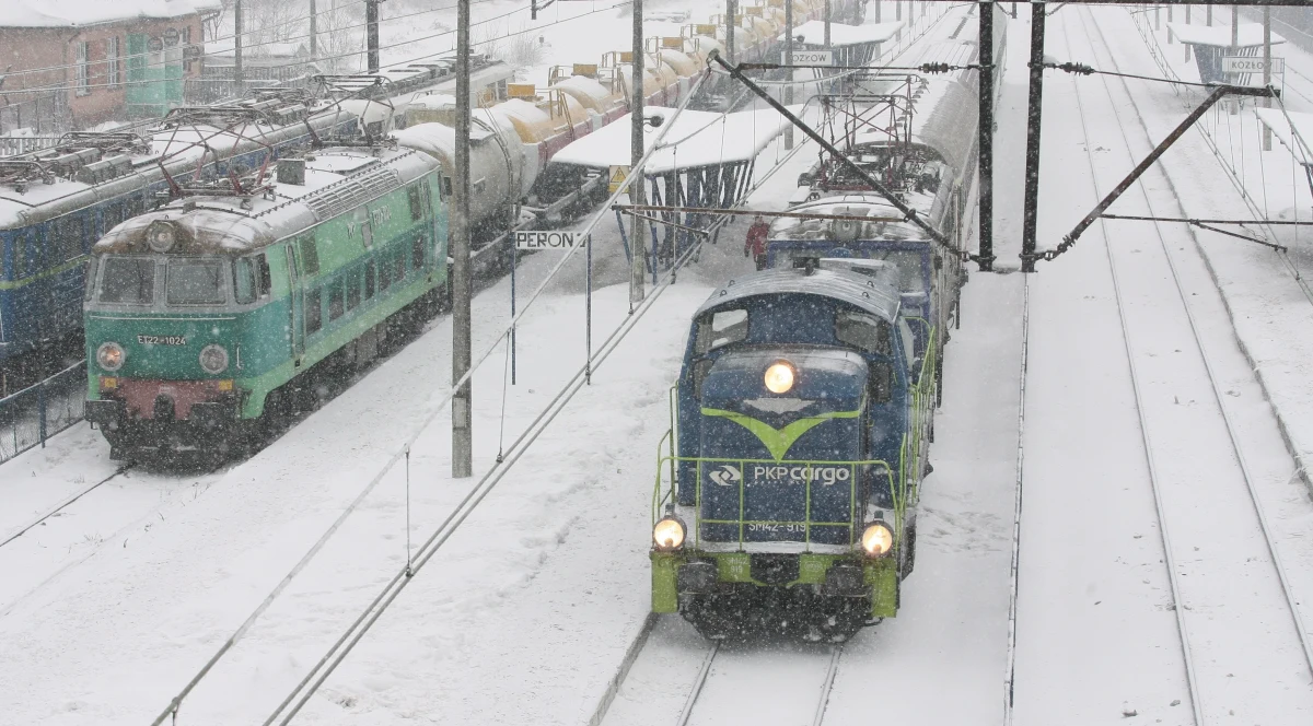 Pogoda komplikuje podróże koleją niemal w całym kraju. We wtorkowy wieczór na wielu odcinkach oblodzona była sieć trakcyjna i tory. Pociągi miały nawet czterogodzinne opóźnienia. 
