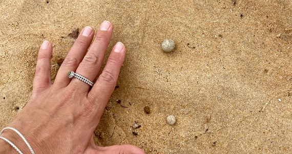 ​Dziewięć plaży w australijskim Sydney zostało we wtorek zamkniętych. Miejscowe władze podjęły taką decyzję po tym, jak woda wyrzuciła na brzeg szarobiałe kulki nieznanego pochodzenia. Tajemnicze obiekty wielkości paznokcia zostaną poddane analizie.