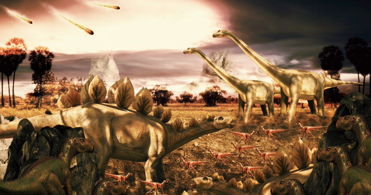 Dinozaury żyły w pełni sił przed zagładą. Asteroida przerwała ich świetność
