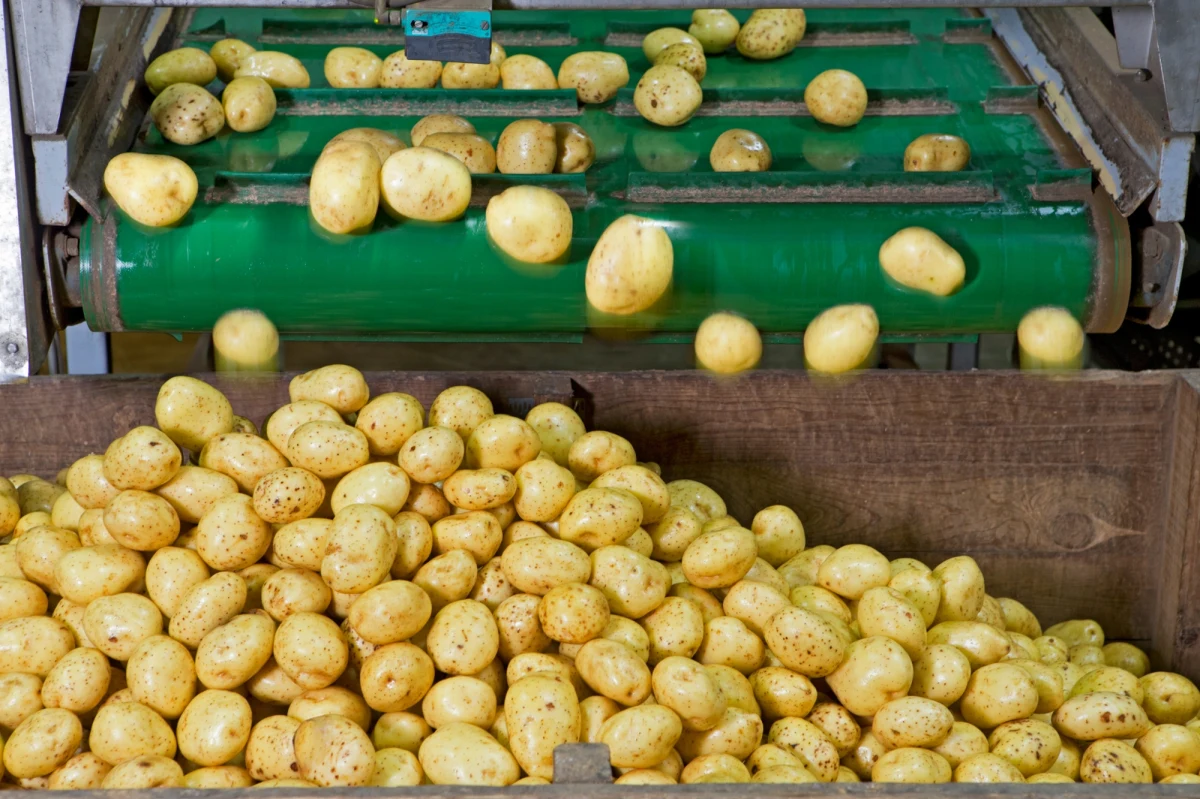 W piątek rano w pomorskim Lęborku, w jednej z fabryk zajmujących się m.in. produkcją frytek, znaleziono granat. Jak ustalił reporter RMF FM, niewybuch został już zabezpieczony przez saperów.