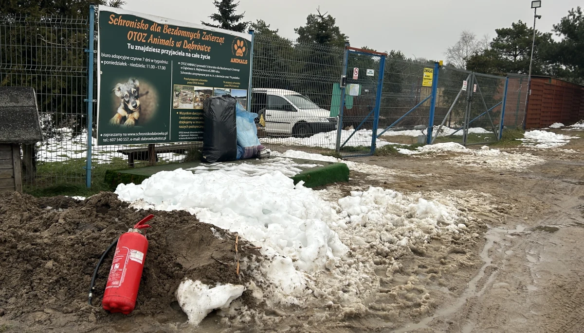 W pożarze, który wybuchł ostatniej nocy w schronisku OTOZ Animals w Dąbrówce koło Wejherowa, zginęło 11 psów i kilkanaście kotów. Około 50 zwierzaków zostało ewakuowanych i przeniesionych do bezpiecznych boksów.