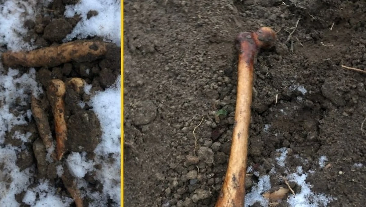 Policjanci ze Starogardu Gdańskiego pracują nad sprawą ludzkich kości, które znaleziono na składowisku ziemi na terenie gminy Bobowo w Pomorskiem. Jak ustalił nasz reporter, ziemia została wcześniej wydobyta podczas prac ziemnych prowadzonych przy kościele. Szczątki znaleziono na oddalonym polu. Informację o tej sprawie dostaliśmy na Gorącą Linię RMF FM.