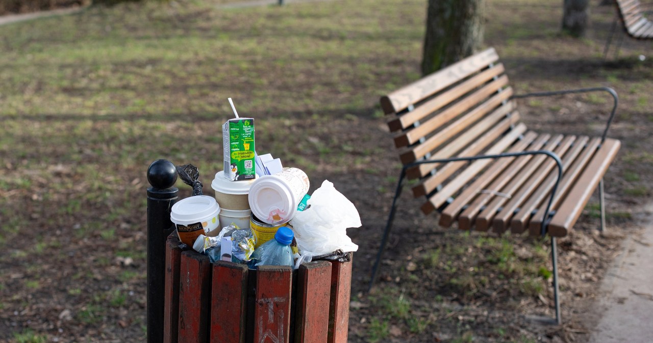 Wyrzucasz to do koszy na śmieci w parku lub przy ulicy? Możesz za to słono zapłacić