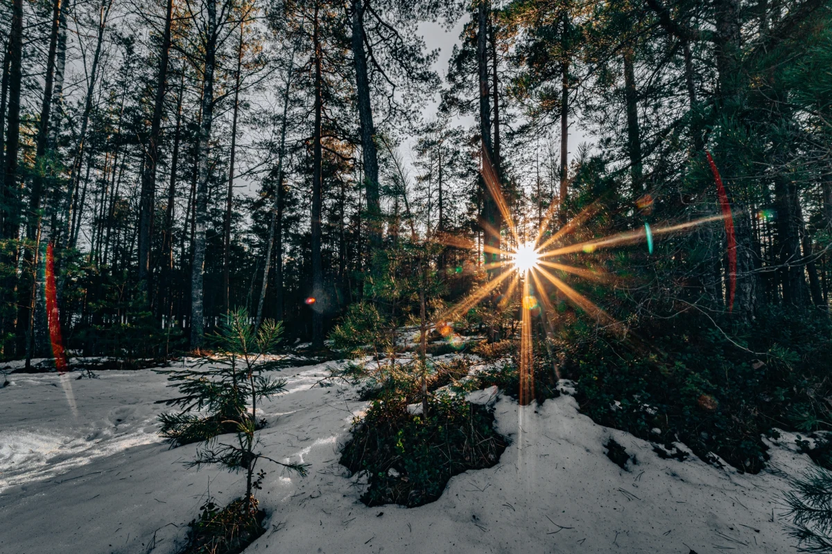 W najbliższy styczniowy weekend czeka nas powiew wiosny. Termometry na południu kraju pokażą nawet 12 stopni Celsjusza. Możemy liczyć też na więcej słońca.