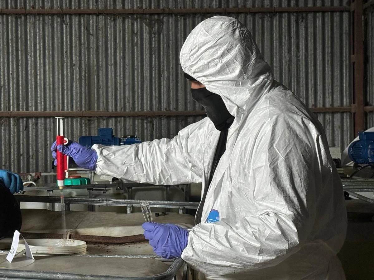 Dwie osoby usłyszały zarzuty w związku z odkrytą tydzień temu fabryką narkotyków w Szczytnie w Warmińsko-Mazurskiem. Obiekt przy ulicy Gnieźnieńskiej został znaleziony przypadkowo, w trakcie niegroźnego pożaru. W środku znajdowała się kompletna linia do produkcji klefedronu.