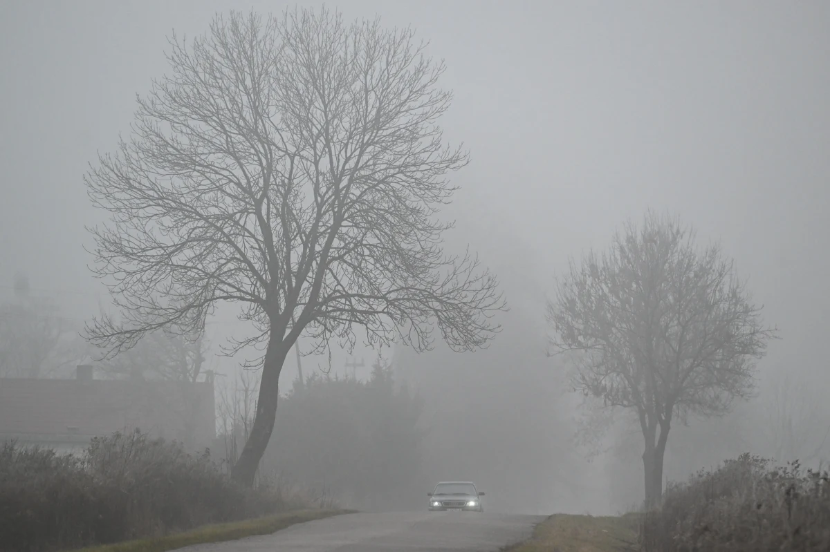 Uwaga kierowcy na południu Polski. Instytut Meteorologii i Gospodarki Wodnej wydał w środę ostrzeżenia I stopnia przed gęstą, miejscami marznącą mgłą, która ograniczy widzialność nawet do 200 m.
