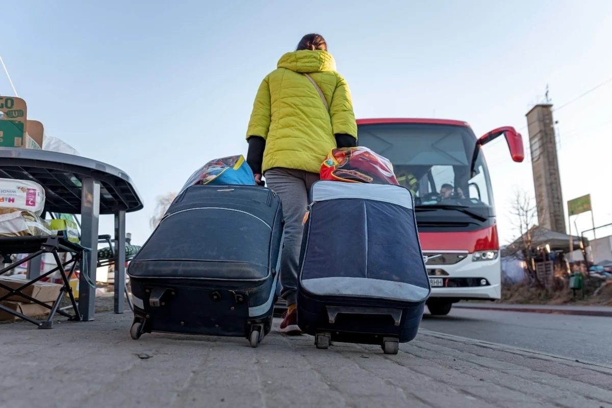 Niewielkie jest zainteresowanie firm transportowych nowym programem informatycznym, w którym można sprawdzić, czy kierowcy wciąż mają uprawnienia do kierowania pojazdami. Jak dowiedział się reporter RMF FM Michał Dobrołowicz w Ministerstwie Cyfryzacji - w ciągu ostatnich dwóch tygodni po nowe, bezpłatne narzędzie zgłosiło się niespełna 100 przewoźników. Wszystkich firm przewozowych w Polsce jest ponad 100 tysięcy.