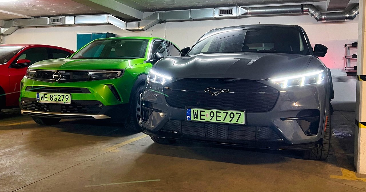 Po rekordowym roku nadchodzi korekta. Co dalej z elektrykami po NaszEauto?