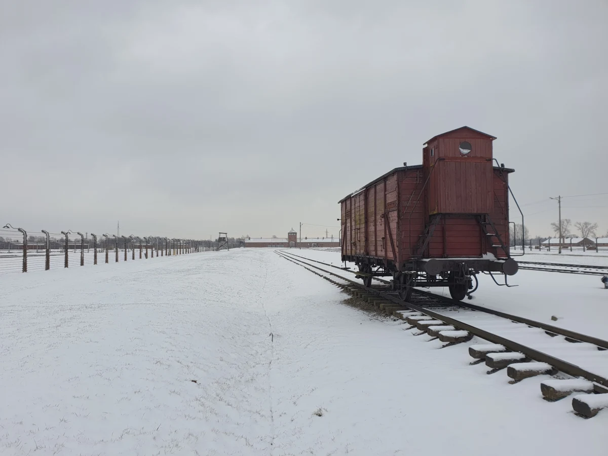 Wagon towarowy to jeden z symboli obchodów 80. rocznicy wyzwolenia niemieckiego nazistowskiego obozu koncentracyjnego i zagłady Auschwitz. Ten, który można zobaczyć w Oświęcimiu 27 stycznia, stojący na środku rampy ("peronu") przed bramą, przez którą przejeżdżały pociągi w latach 40., a także znajdujące się pod nim tory, są szczególnym przypomnieniem oryginalnej przestrzeni, w której życie straciło ponad milion ofiar. Wśród nich najliczniejszą grupę stanowili Żydzi i Polacy, ale również m.in. Węgrzy, Czesi, Francuzi, Romowie, Grecy, Hiszpanie, Holendrzy czy Rosjanie.