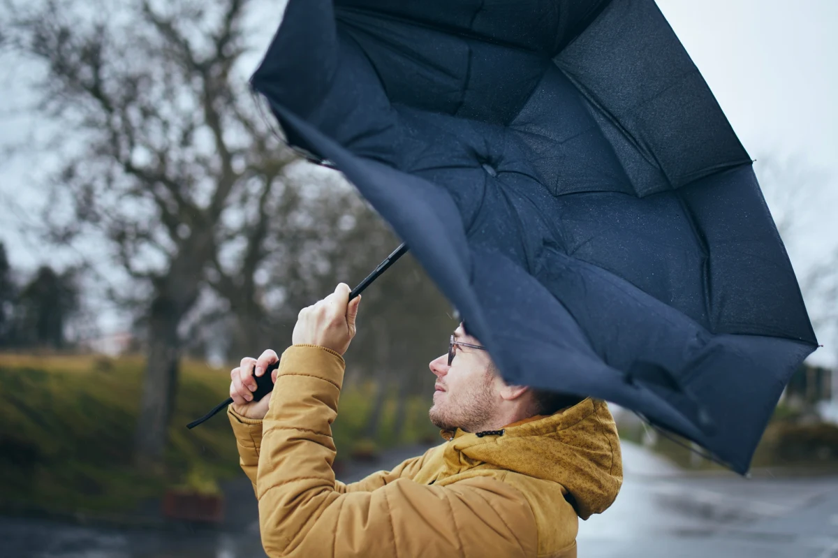 Ostrzeżenia pierwszego i drugiego stopnia przed silnym wiatrem w czterech województwach wydał w sobotę wieczorem Instytut Meteorologii i Gospodarki Wodnej. Prędkość wiatru w porywach może osiągnąć nawet 100 km/h. Niebezpiecznie będzie w niektórych rejonach Małopolski, Dolnego Śląska, Opolszczyzny i Podkarpacia. 