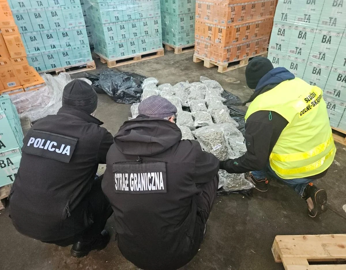 Trzej mężczyźni, próbujący przemycić do Polski ponad 270 kilogramów narkotyków, zostali zatrzymani przez wielkopolskich policjantów. Dwaj z nich to kierowcy tira, którym wieziono nielegalny towar.