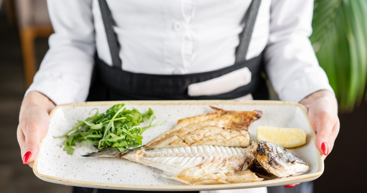 Które ryby warto jeść? Naukowcy znają już odpowiedź. Jedne są wyraźnie zdrowsze